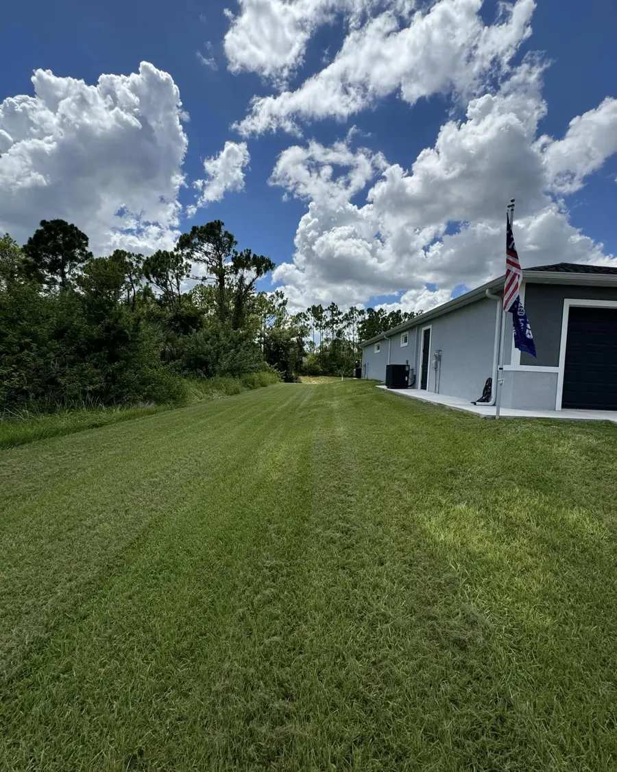 Striped lawn beside a home flying the American flag