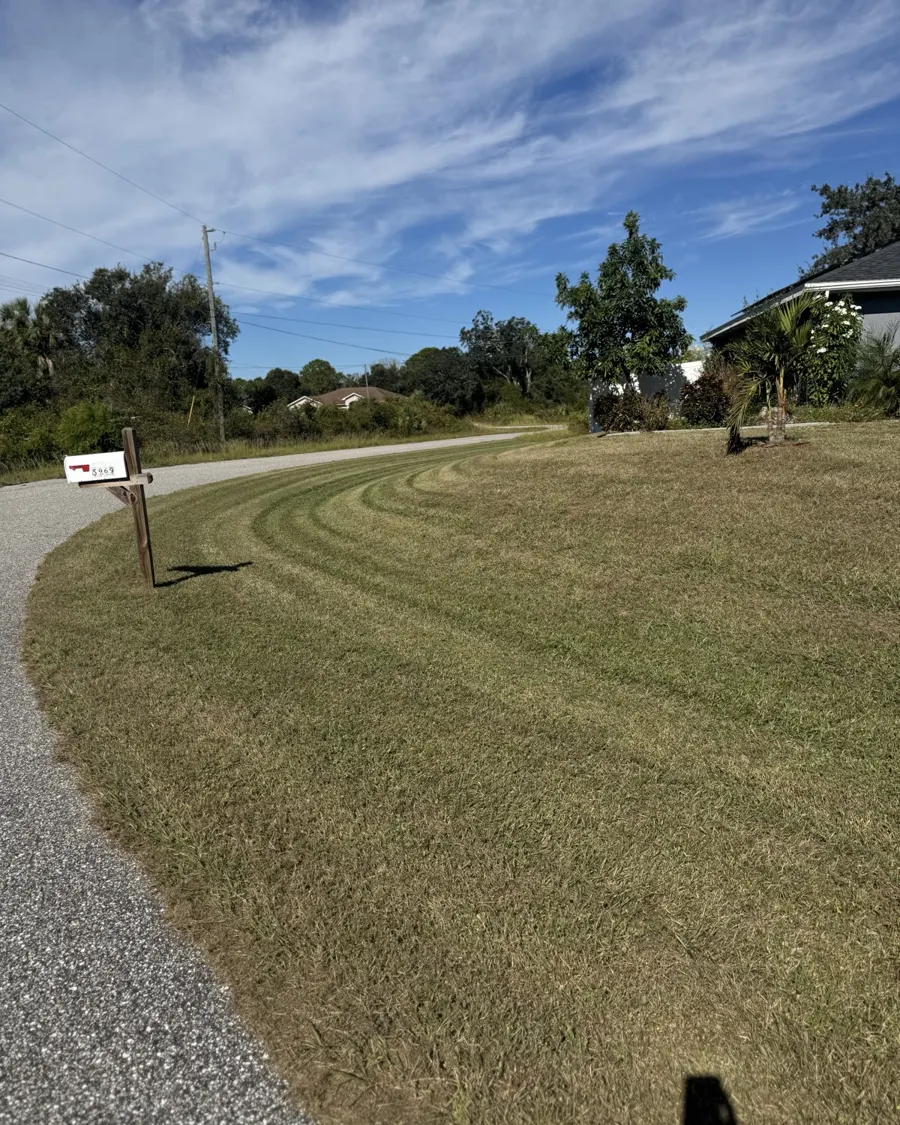 Curved mowing stripes along a driveway in Southwest Florida