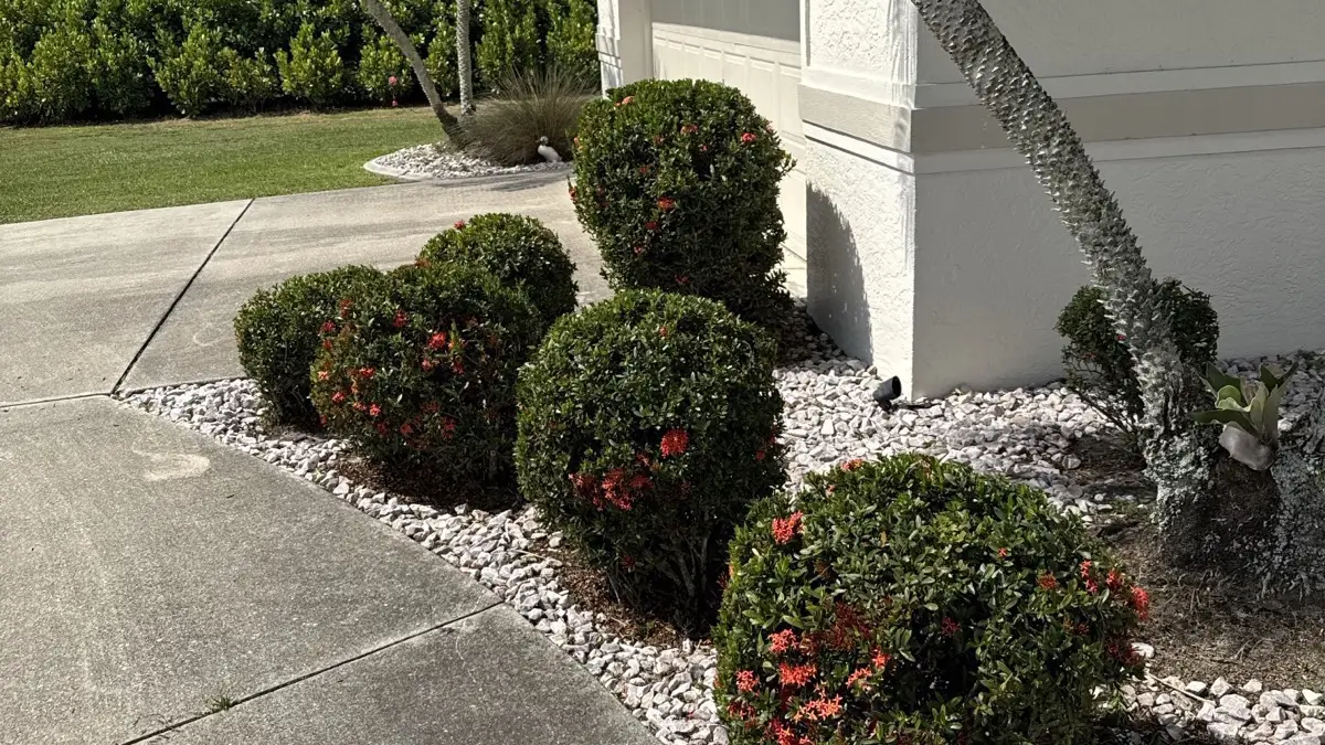 Landscape Design & Installation by Moore Precision in North Port, FL